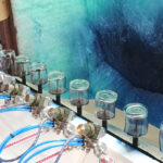 electrostatic wet painting spray line for glasses - elektrostatik cam boyama yas boya hatti 1