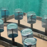 electrostatic wet painting spray line for glasses - elektrostatik cam boyama yas boya hatti 3