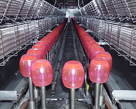 Infrared Curing Oven
